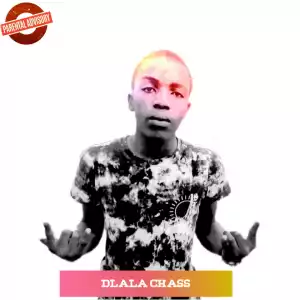 Dlala Chass - Yebo ft. Busiswa & Moonchild Sanelly
